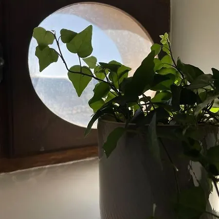 Maison De Charme Proche Futuroscope Сasa de vacaciones Bonneuil-Matours